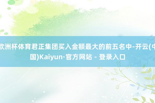 欧洲杯体育君正集团买入金额最大的前五名中-开云(中国)Kaiyun·官方网站 - 登录入口