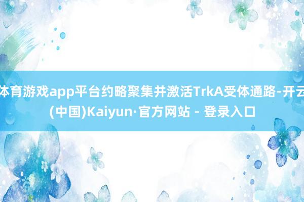 体育游戏app平台约略聚集并激活TrkA受体通路-开云(中国)Kaiyun·官方网站 - 登录入口