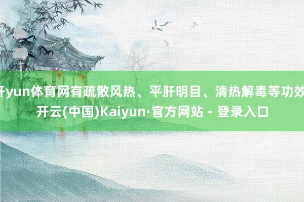 开yun体育网有疏散风热、平肝明目、清热解毒等功效-开云(中国)Kaiyun·官方网站 - 登录入口