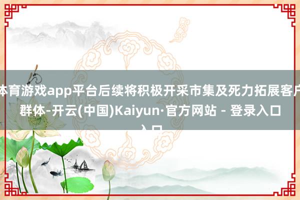 体育游戏app平台后续将积极开采市集及死力拓展客户群体-开云(中国)Kaiyun·官方网站 - 登录入口
