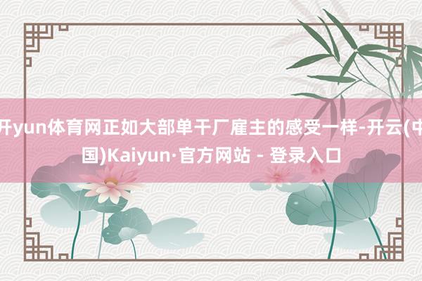 开yun体育网正如大部单干厂雇主的感受一样-开云(中国)Kaiyun·官方网站 - 登录入口