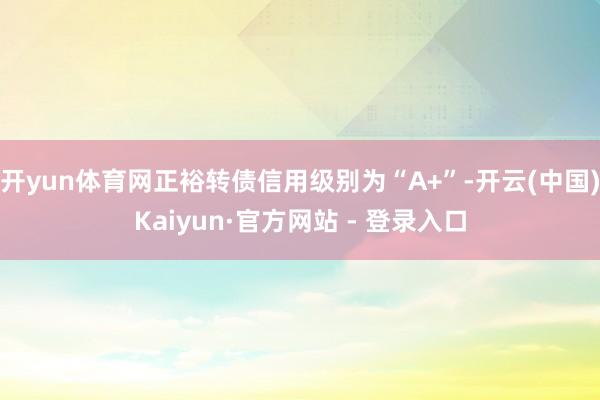 开yun体育网正裕转债信用级别为“A+”-开云(中国)Kaiyun·官方网站 - 登录入口