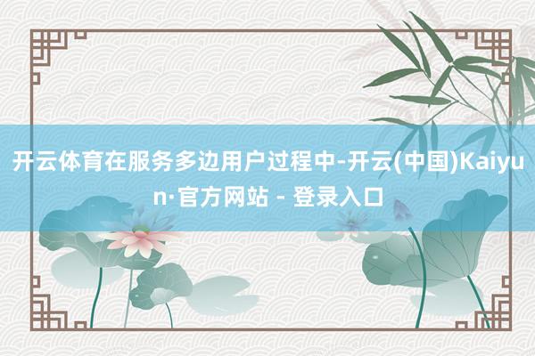 开云体育在服务多边用户过程中-开云(中国)Kaiyun·官方网站 - 登录入口