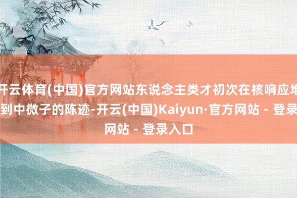 开云体育(中国)官方网站东说念主类才初次在核响应堆捕捉到中微子的陈迹-开云(中国)Kaiyun·官方网站 - 登录入口